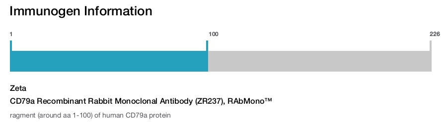 CD79a Recombinant Rabbit Monoclonal Antibody (ZR237), RAbMono&trade;
