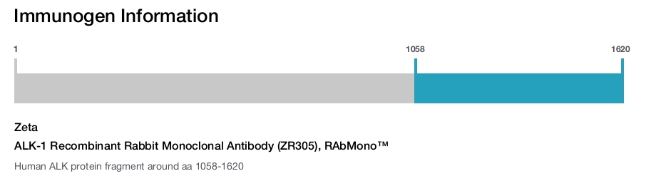 ALK-1 Recombinant Rabbit Monoclonal Antibody (ZR305), RAbMono&trade;