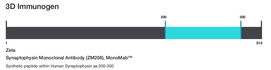 Synaptophysin Monoclonal Antibody (ZM208), MonoMab&trade;