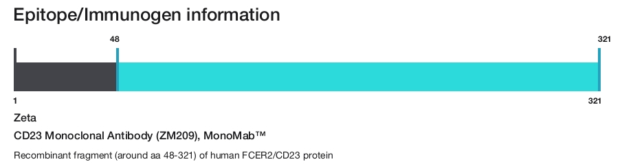 CD23 Monoclonal Antibody (ZM209), MonoMab&trade;