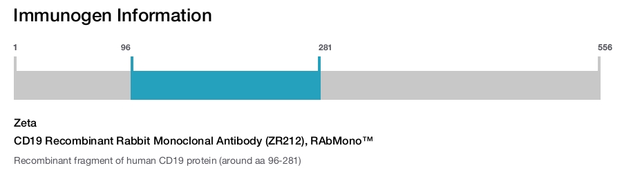 CD19 Recombinant Rabbit Monoclonal Antibody (ZR212), RAbMono&trade;