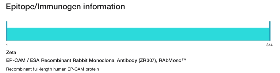 EP-CAM / ESA Recombinant Rabbit Monoclonal Antibody (ZR307), RAbMono&trade;