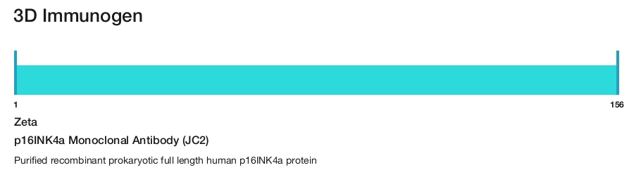 p16INK4a Monoclonal Antibody (JC2)
