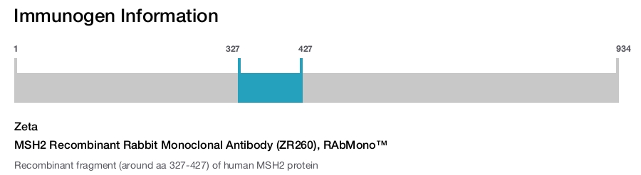 MSH2 Recombinant Rabbit Monoclonal Antibody (ZR260), RAbMono&trade;
