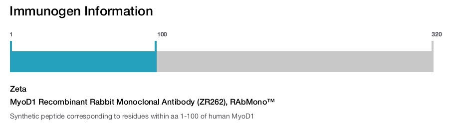 MyoD1 Recombinant Rabbit Monoclonal Antibody (ZR262), RAbMono&trade;