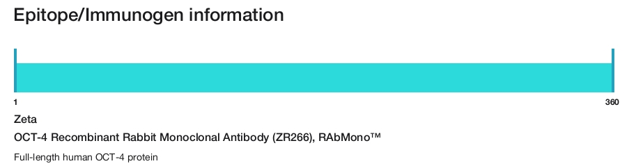 OCT-4 Recombinant Rabbit Monoclonal Antibody (ZR266), RAbMono&trade;