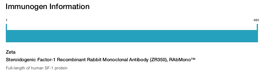 Steroidogenic Factor-1 Recombinant Rabbit Monoclonal Antibody (ZR350), RAbMono&trade;