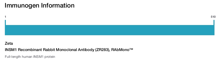 INSM1 Recombinant Rabbit Monoclonal Antibody (ZR283), RAbMono&trade;