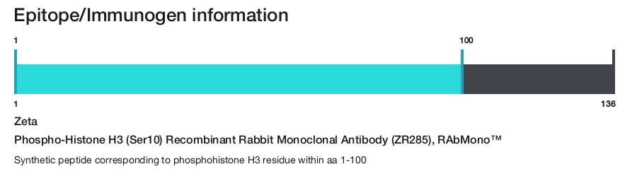 Phospho-Histone H3 (Ser10) Recombinant Rabbit Monoclonal Antibody (ZR285), RAbMono&trade;