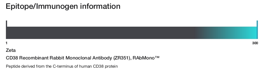 CD38 Recombinant Rabbit Monoclonal Antibody (ZR351), RAbMono&trade;