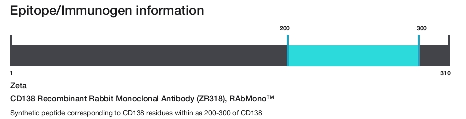 CD138 Recombinant Rabbit Monoclonal Antibody (ZR318), RAbMono&trade;