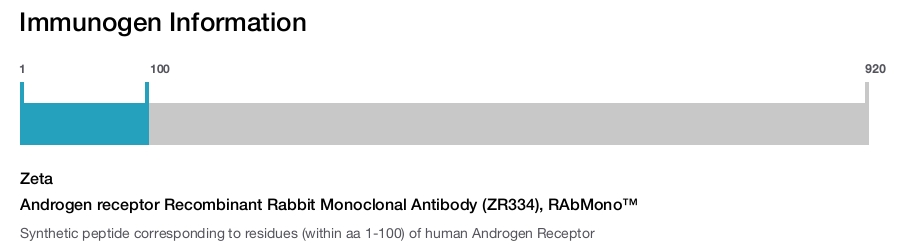 Androgen receptor Recombinant Rabbit Monoclonal Antibody (ZR334), RAbMono&trade;