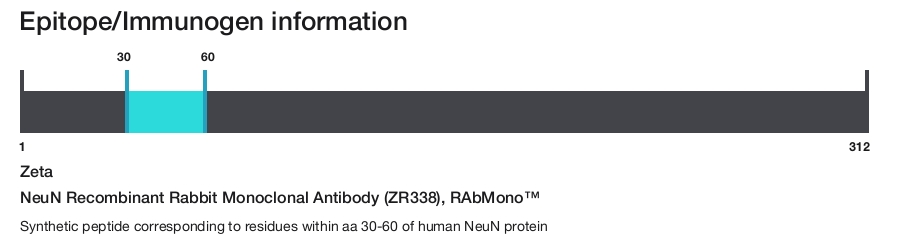 NeuN Recombinant Rabbit Monoclonal Antibody (ZR338), RAbMono&trade;