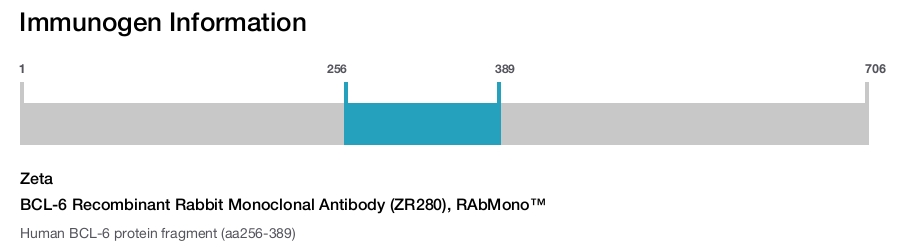 BCL-6 Recombinant Rabbit Monoclonal Antibody (ZR280), RAbMono&trade;
