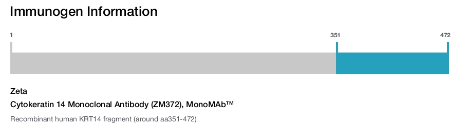 Cytokeratin 14 Monoclonal Antibody (ZM372), MonoMAb&trade;