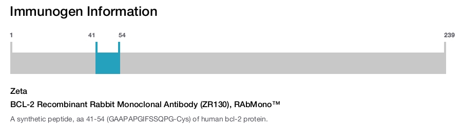 BCL-2 Recombinant Rabbit Monoclonal Antibody (ZR130), RAbMono&trade;