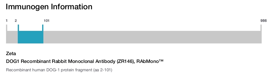 DOG1 Recombinant Rabbit Monoclonal Antibody (ZR146), RAbMono&trade;