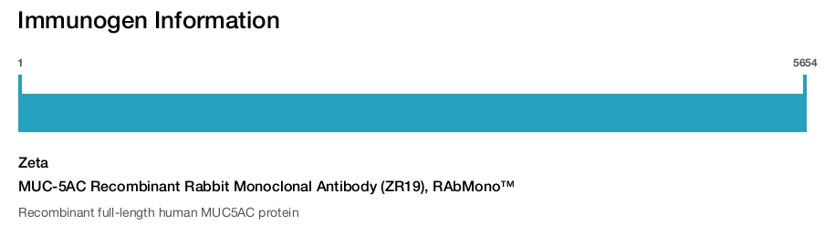 MUC-5AC Recombinant Rabbit Monoclonal Antibody (ZR19), RAbMono&trade;