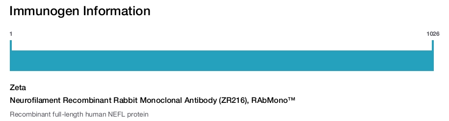 Neurofilament Recombinant Rabbit Monoclonal Antibody (ZR216), RAbMono&trade;