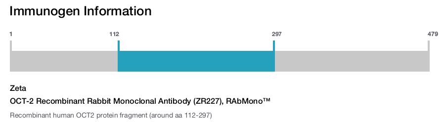 OCT-2 Recombinant Rabbit Monoclonal Antibody (ZR227), RAbMono&trade;
