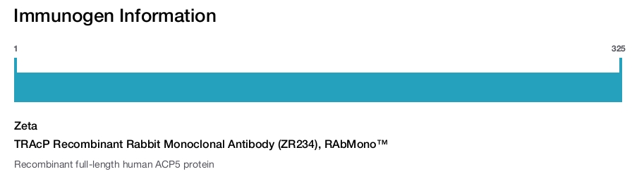 TRAcP Recombinant Rabbit Monoclonal Antibody (ZR234), RAbMono&trade;