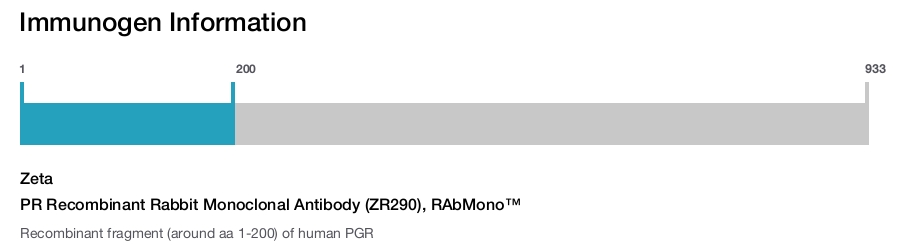 PR Recombinant Rabbit Monoclonal Antibody (ZR290), RAbMono&trade;
