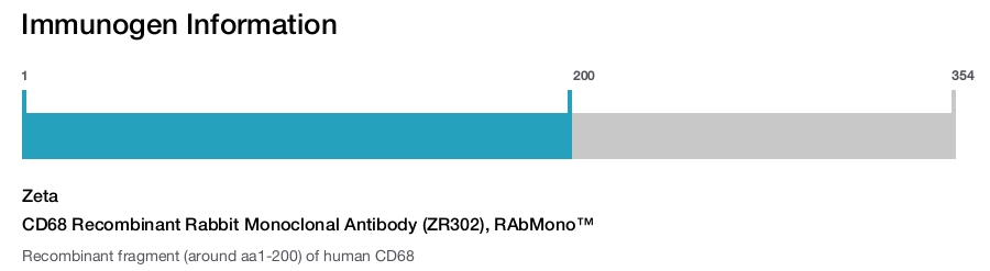 CD68 Recombinant Rabbit Monoclonal Antibody (ZR302), RAbMono&trade;
