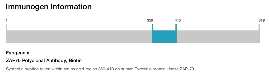 ZAP70 Polyclonal Antibody, Biotin