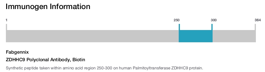 ZDHHC9 Polyclonal Antibody, Biotin