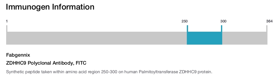 ZDHHC9 Polyclonal Antibody, FITC