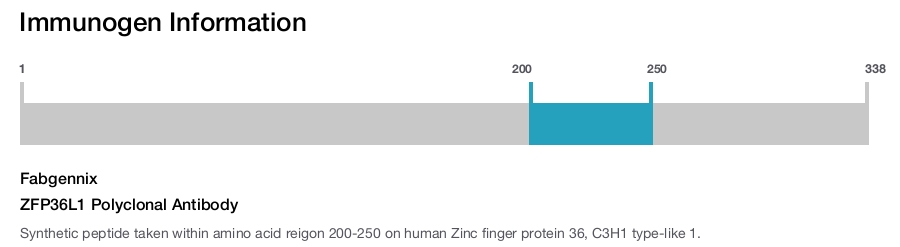 ZFP36L1 Polyclonal Antibody