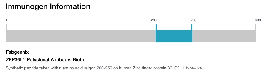 ZFP36L1 Polyclonal Antibody, Biotin
