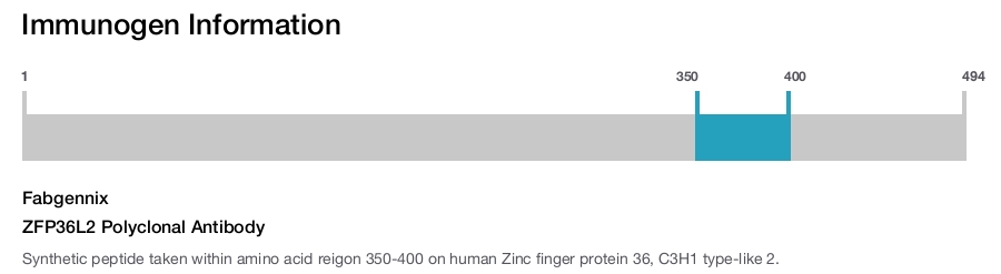 ZFP36L2 Polyclonal Antibody