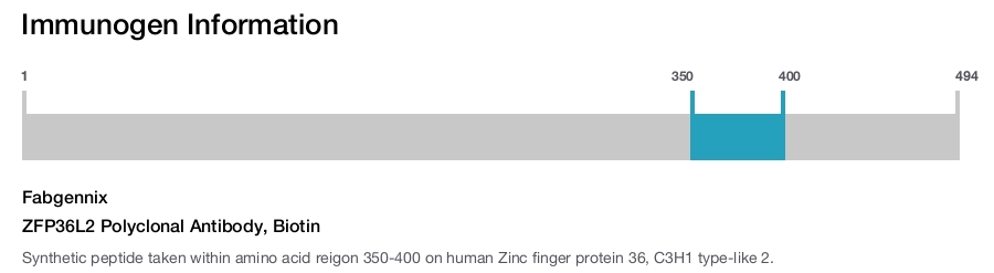 ZFP36L2 Polyclonal Antibody, Biotin