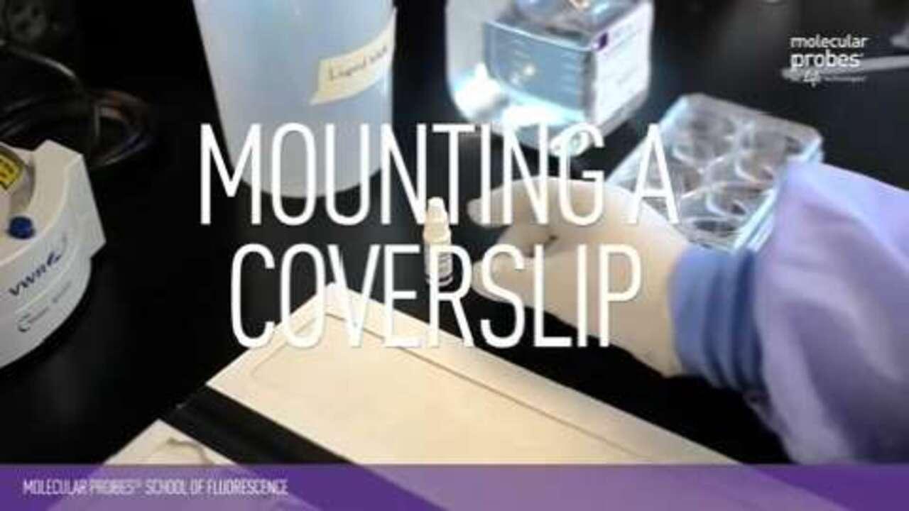 Mounting Coverslips Thermo Fisher Scientific CN