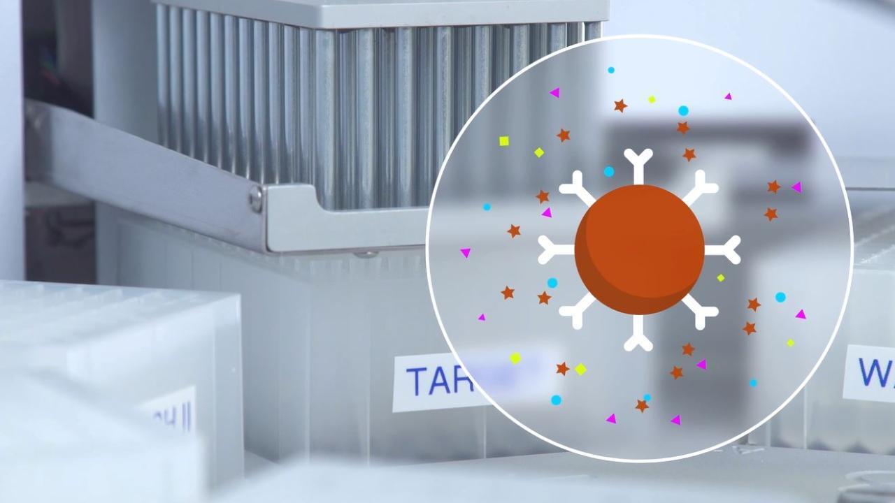 KingFisher Flex 系统 Thermo Fisher Scientific CN