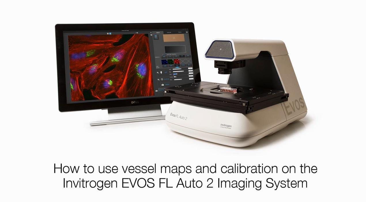 Simple Automated Imaging Information Thermo Fisher Scientific CN