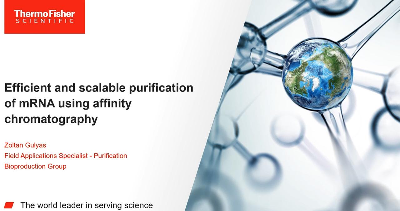 Cell and Gene Therapy Purification Solutions Thermo Fisher Scientific