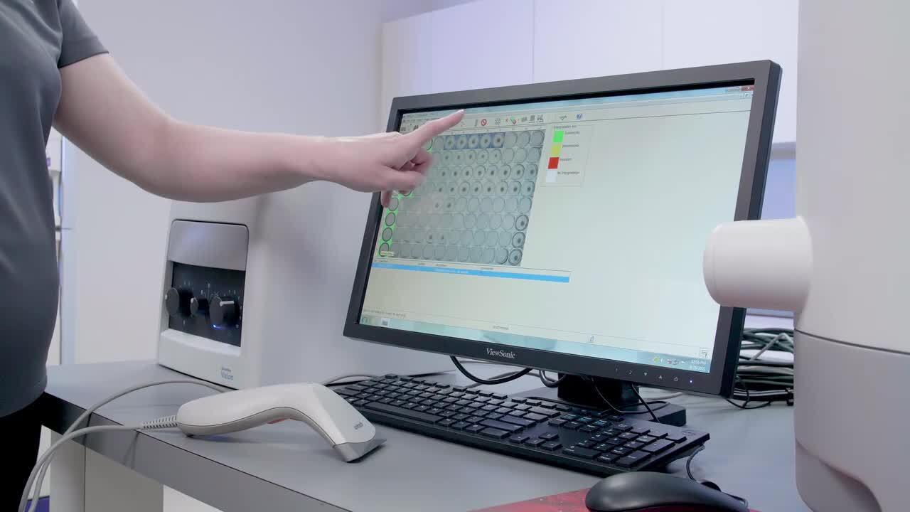 Antimicrobial Susceptibility Testing Workflow Thermo Fisher