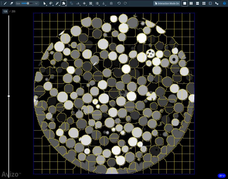Amira and Avizo Software | Amira and Avizo Software Segmentation+ ...