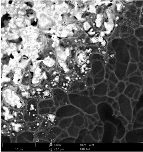 太阳能电池的扫描电镜图像，其中较重的元素银与较轻元素硅的暗区相比显得较亮。
