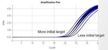 Amplification plot showing how target quantity affects signal emergence from baseline Amplification plot showing how target quantity affects signal emergence from baseline