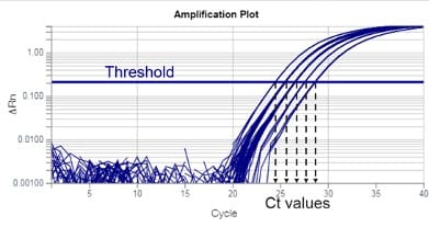Amplification plot showing exponential phases Amplification plot showing exponential phases