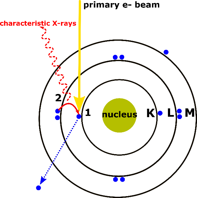 Diagram illustrating the generation of characteristic X-rays. A primary electron beam strikes an atom, ejecting an inner-shell electron from the K shell. An electron from the L shell fills the vacancy, releasing energy as characteristic X-rays.