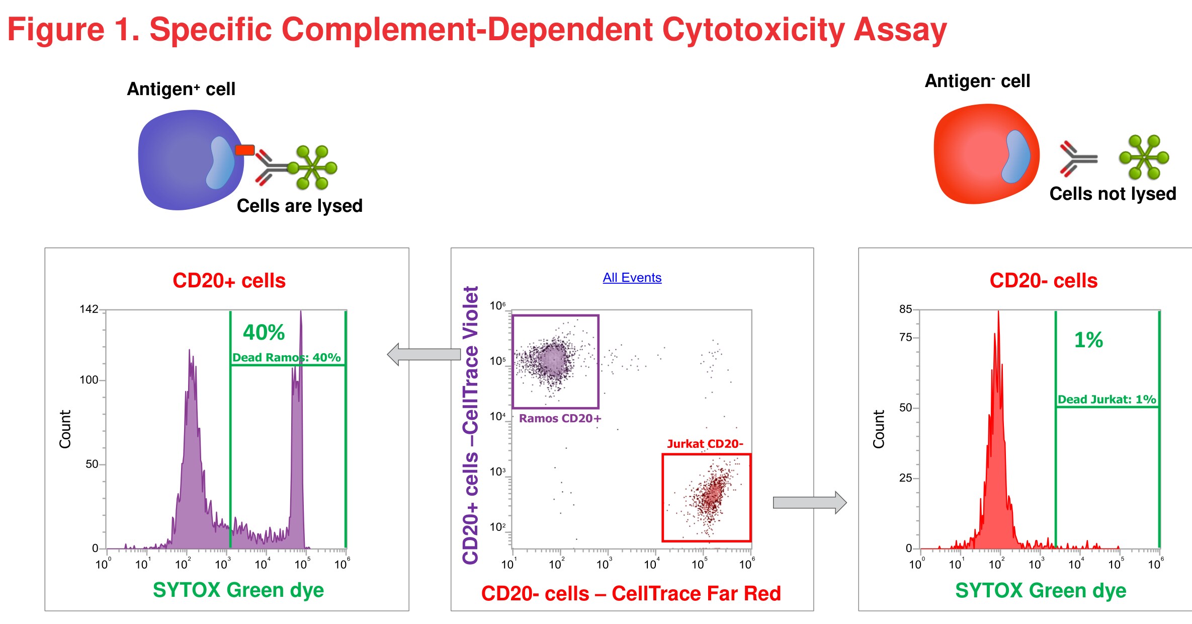 Figure 1 Specific Complement-Dependent Cytotoxicity Assay