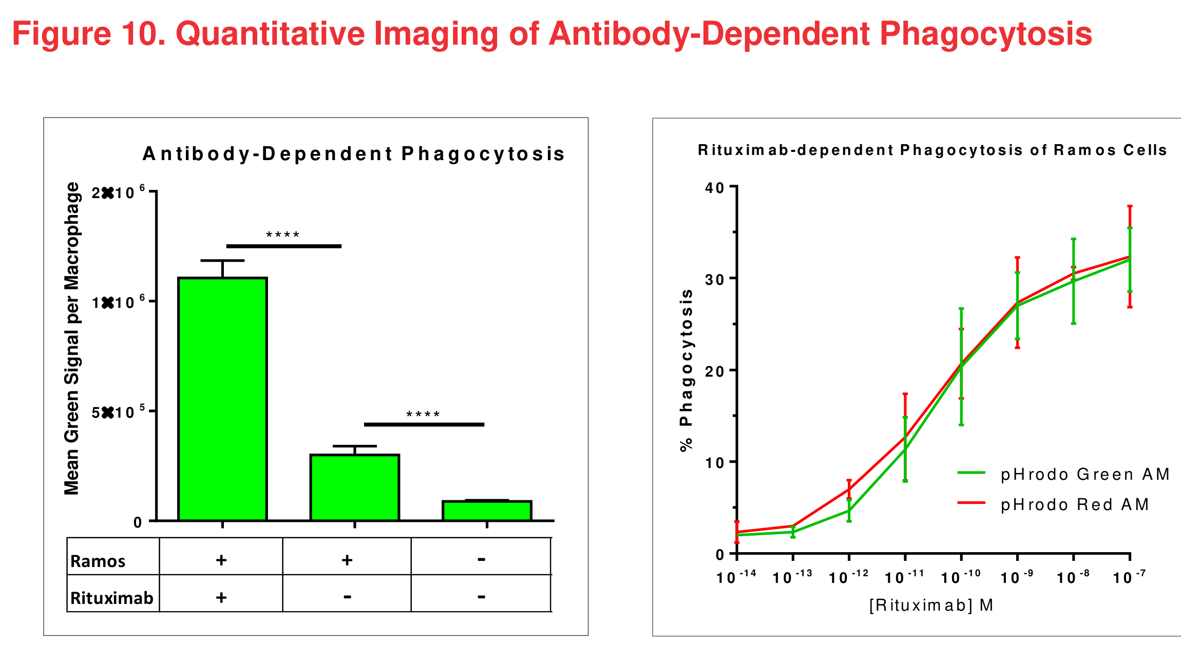 Figure 10 Quantitative Imaging of Antibody-Dependent Phagocytosis