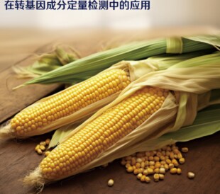 Absolute Q数字PCR系统在转基因成分定量检测中的应用封面主视觉