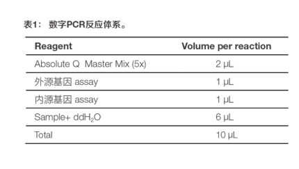 数字PCR反应体系表