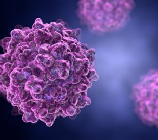 adeno-associated virus (AAV) vectors