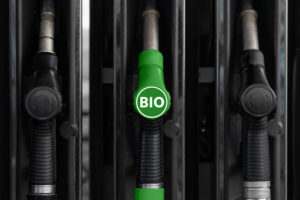 Biodiesel fuel pump